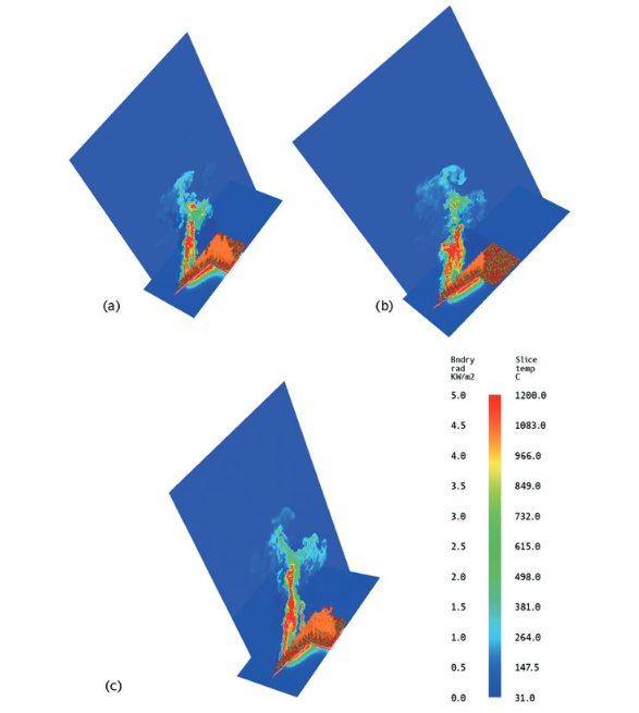 Simulation of Extreme Fire Event Scenarios Using Fully Physical Models and Visualisation Systems 