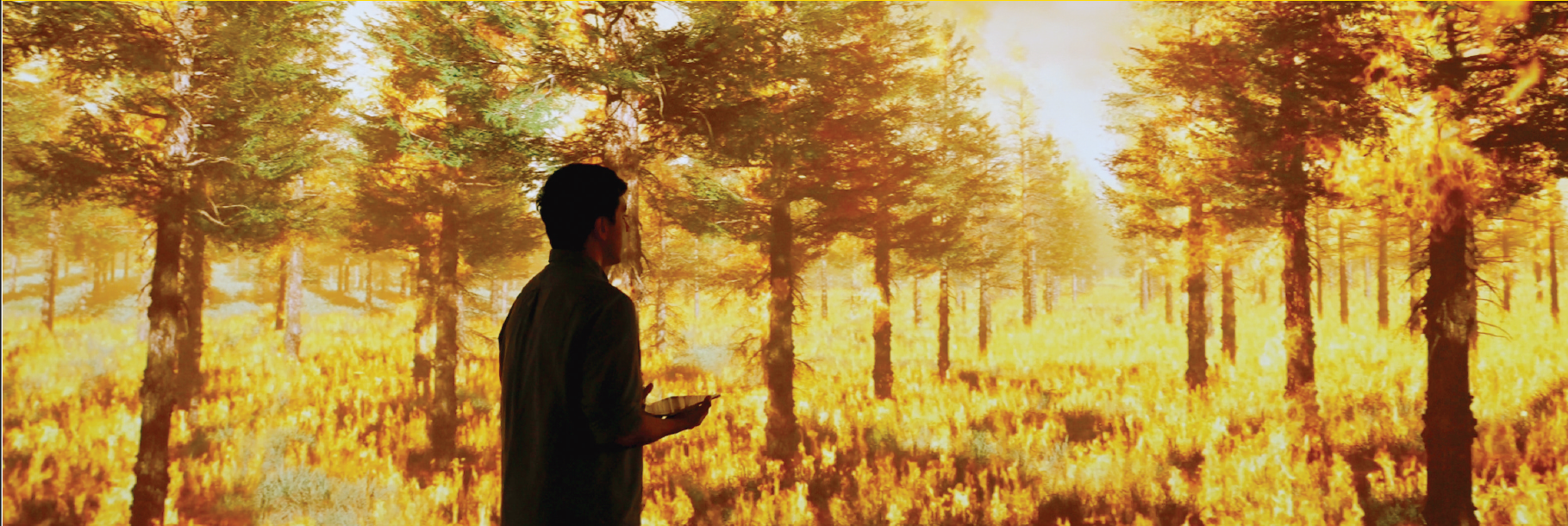 iFire: AI Immersive Visualisation to Enhance Fire Training Sensemaking 