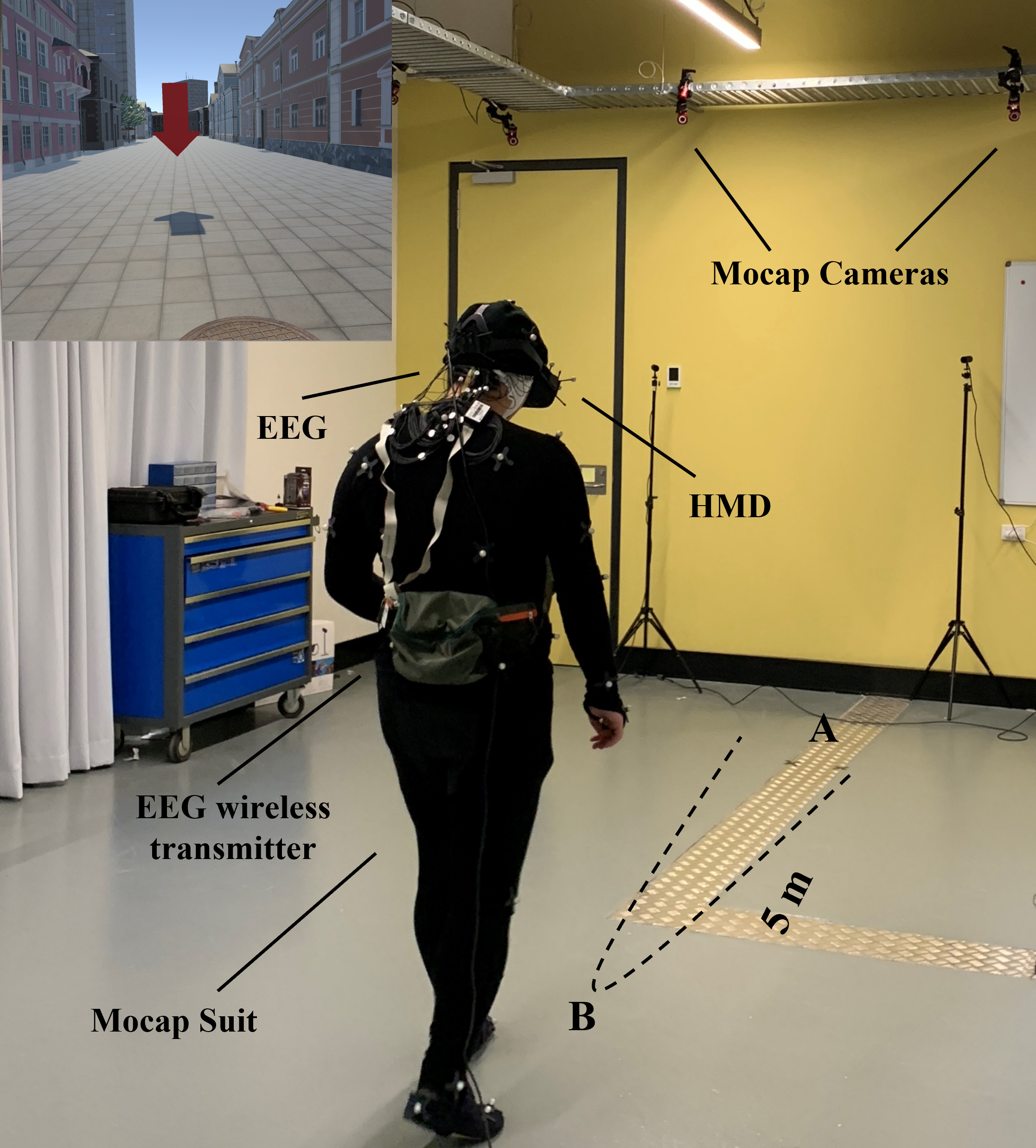 An EEG-based Experiment on VR Sickness and Postural Instability While Walking in Virtual Environments 